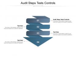 Audit steps tests controls ppt powerpoint presentation infographics example topics cpb