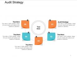 Audit strategy ppt powerpoint presentation styles example cpb