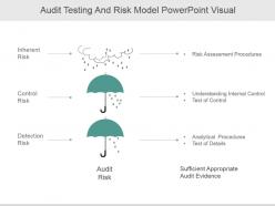 Audit testing and risk model powerpoint visual