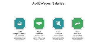 Audit wages salaries ppt powerpoint presentation infographics information cpb
