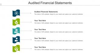 Audited Financial Statements Ppt Powerpoint Presentation Portfolio Design Inspiration Cpb