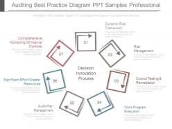 Auditing best practice diagram ppt samples professional