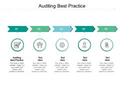 Auditing best practice ppt powerpoint presentation layouts objects cpb