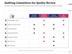 Auditing committees for quality reviewm1917 ppt powerpoint presentation slides graphics design