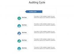 Auditing cycle ppt powerpoint presentation outline cpb