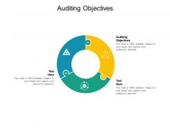 Auditing objectives ppt powerpoint presentation model slide download cpb