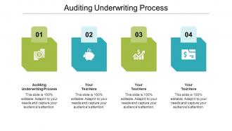 Auditing underwriting process ppt powerpoint presentation ideas graphics cpb