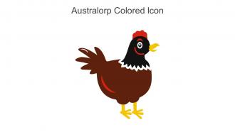 Australorp Colored Icon In Powerpoint Pptx Png And Editable Eps Format