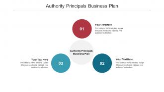 Authority principals business plan ppt powerpoint presentation portfolio layouts cpb