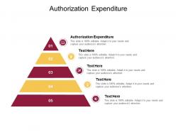 Authorization expenditure ppt powerpoint presentation slides design ideas cpb