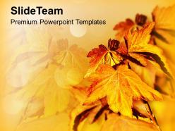 Autumn leaves background beauty powerpoint templates ppt themes and graphics 0213