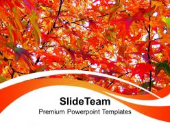Autumn leaves nature powerpoint templates ppt themes and graphics 0213