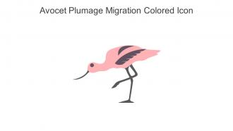 Avocet Plumage Migration Colored Icon In Powerpoint Pptx Png And Editable Eps Format