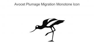 Avocet Plumage Migration Monotone Icon In Powerpoint Pptx Png And Editable Eps Format