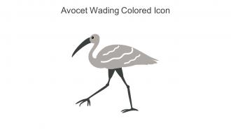 Avocet Wading Colored Icon In Powerpoint Pptx Png And Editable Eps Format