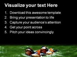 Awesome colored ducks animals powerpoint templates and powerpoint backgrounds 0211