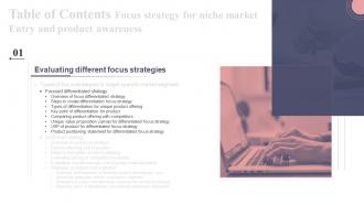 B133 Table Of Contents Focus Strategy For Niche Market Entry And Product Awareness