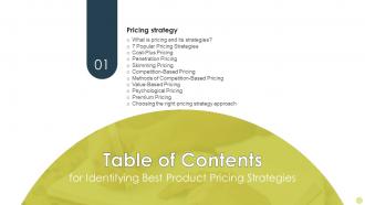B149 Table Of Contents For Identifying Best Product Pricing Strategies