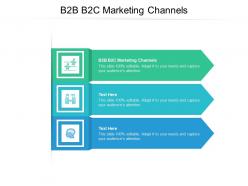 B2b b2c marketing channels ppt powerpoint presentation professional topics cpb