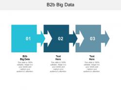 B2b big data ppt powerpoint presentation file graphics example cpb
