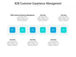 B2b customer experience management ppt powerpoint presentation model maker cpb