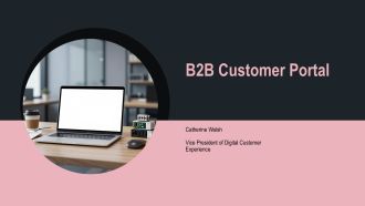 B2b Customer Portal PPT Summary VA