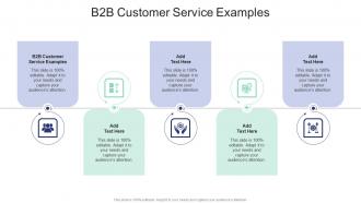 B2B Customer Service Examples In Powerpoint And Google Slides Cpb