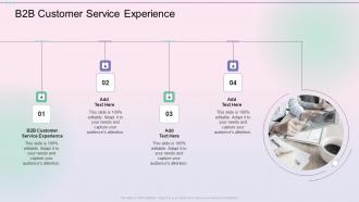 B2B Customer Service Experience In Powerpoint And Google Slides Cpb