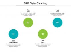 B2b data cleaning ppt powerpoint presentation portfolio inspiration cpb