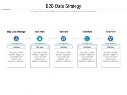 B2b data strategy ppt powerpoint presentation professional graphics template cpb