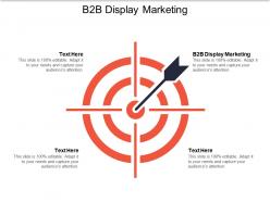 B2b display marketing ppt powerpoint presentation file pictures cpb