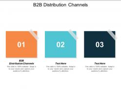 B2b distribution channels ppt powerpoint presentation icon samples cpb