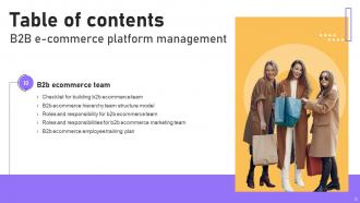 B2B E Commerce Platform Management Powerpoint Presentation Slides Appealing Images