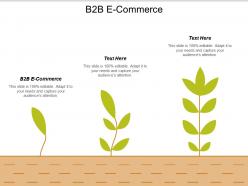 B2b e commerce ppt powerpoint presentation gallery graphics tutorials cpb