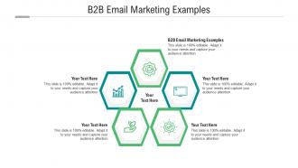 B2b email marketing examples ppt powerpoint presentation icon show cpb