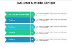 B2b email marketing services ppt powerpoint presentation gallery layouts cpb