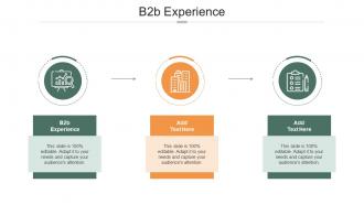 B2B Experience In Powerpoint And Google Slides Cpb