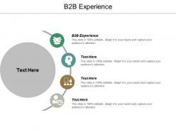 B2b experience ppt powerpoint presentation icon layout ideas cpb