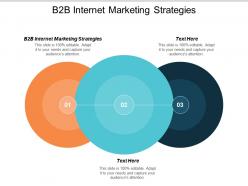 B2b internet marketing strategies ppt powerpoint presentation icon show cpb