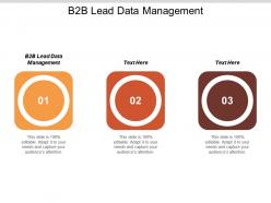 B2b lead data management ppt powerpoint presentation file design ideas cpb