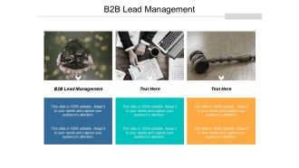 B2b lead management ppt powerpoint presentation pictures outline cpb