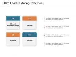 B2b lead nurturing practices ppt powerpoint presentation infographics slide download cpb