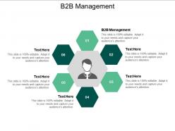 B2b management ppt powerpoint presentation model outline cpb
