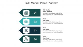 B2b market place platform ppt powerpoint presentation icon graphic tips cpb
