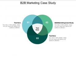 B2b marketing case study ppt powerpoint presentation portfolio designs download cpb