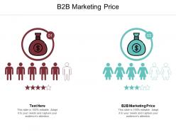 B2b marketing price ppt powerpoint presentation file background cpb