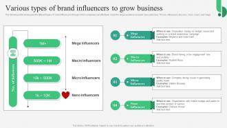 B2B Marketing Strategies Various Types Of Brand Influencers To Grow Business MKT SS V