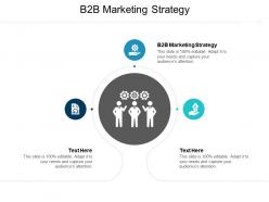 B2b marketing strategy ppt powerpoint presentation gallery graphic images cpb