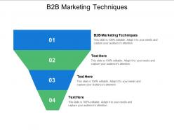 B2b marketing techniques ppt powerpoint presentation model pictures cpb