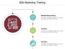 B2b marketing training ppt powerpoint presentation file background designs cpb